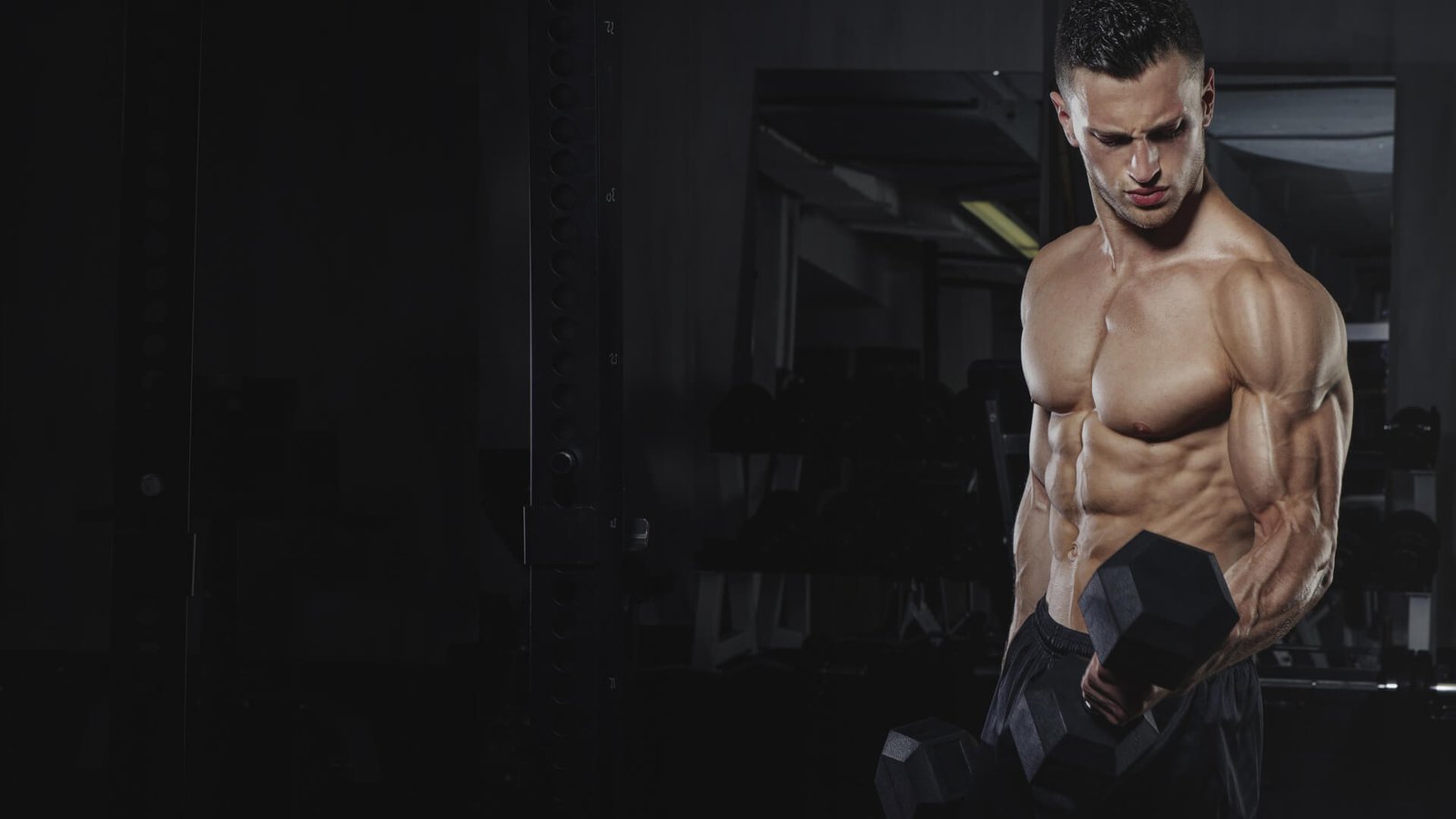 treadmill-dealer-in-pune